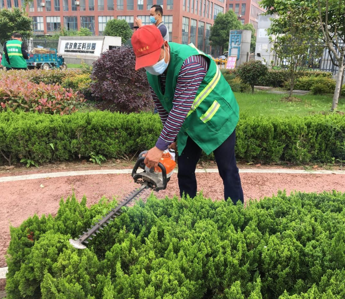 Land Clearing - working scenario