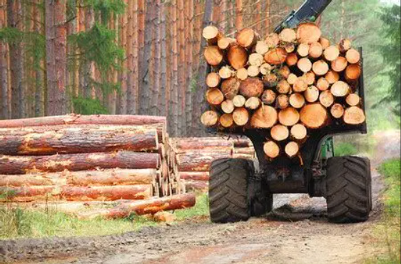 Logging & Harvesting - real working scenario