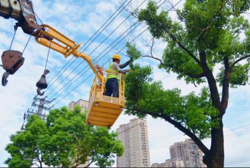 Tall Timber & Slope Work - real working scenario