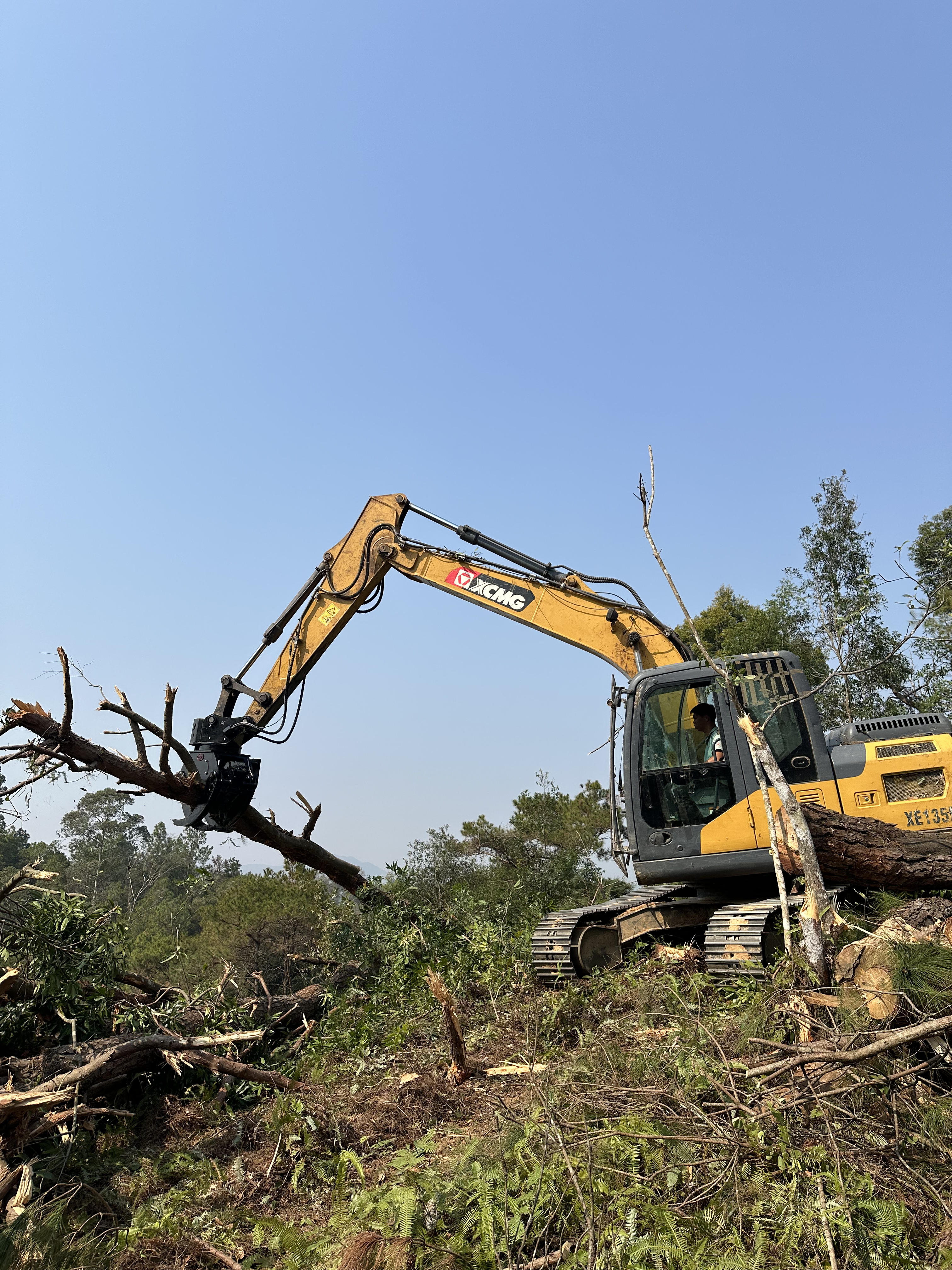 Logging & Harvesting - working scenario