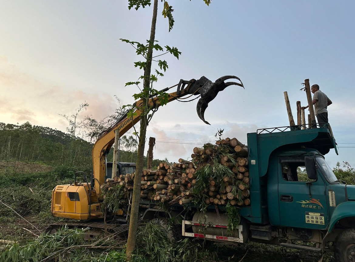 Timber Handling - working scenario
