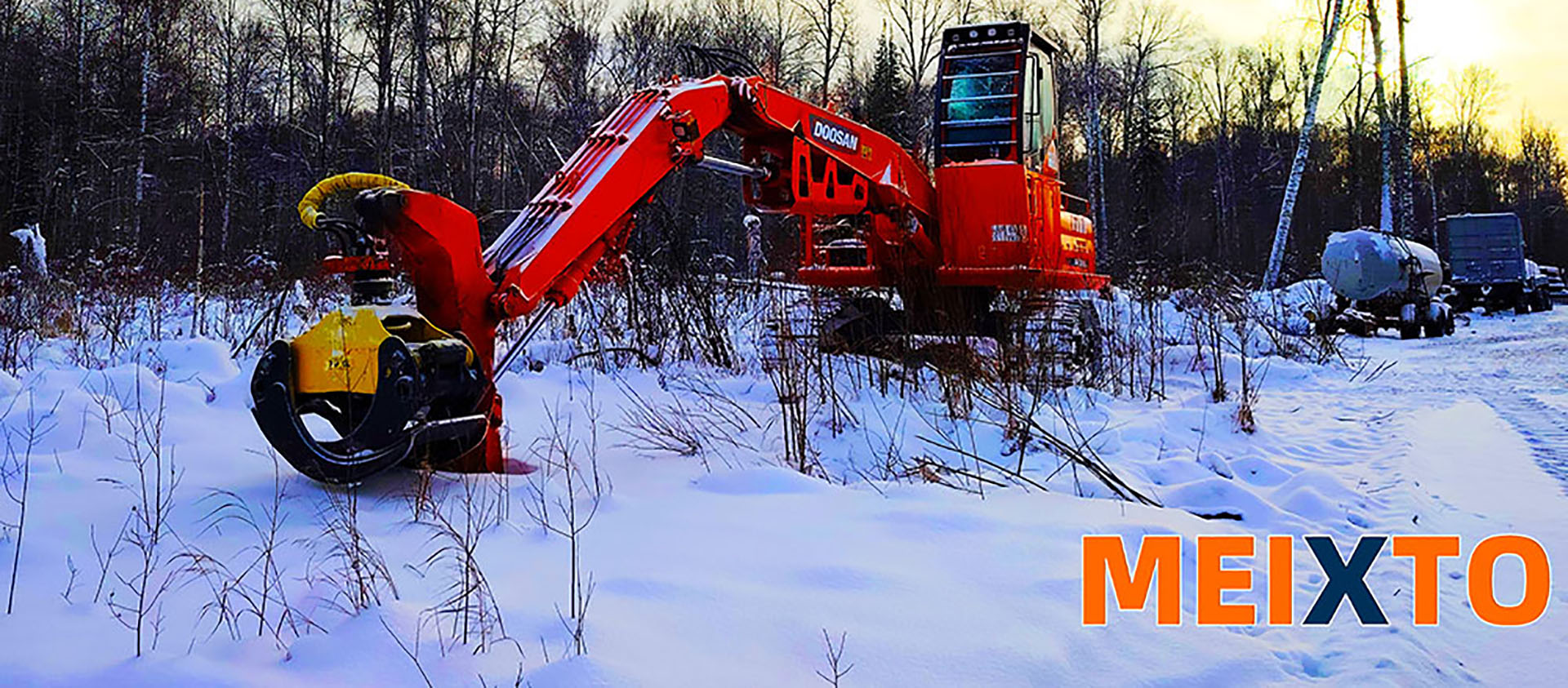 Extreme Cold Forests - working scenario