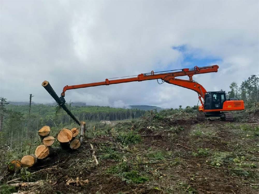 Tall Timber & Slope Work - working scenario